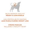 Purina ONE Plus Healthy Weight Dog Food Dry Formula
